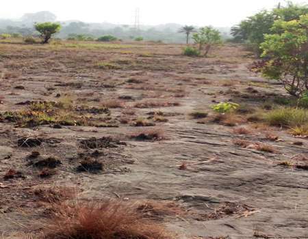 Terrain à vendre Kindia