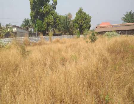 Terrain à vendre Dubréka