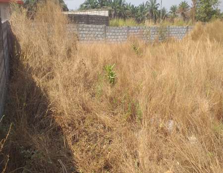 Terrain à vendre Dubréka